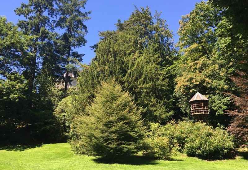 baden baden