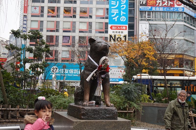 tokio barrios