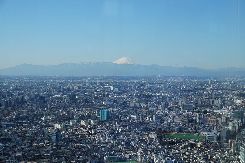 que ver en tokio