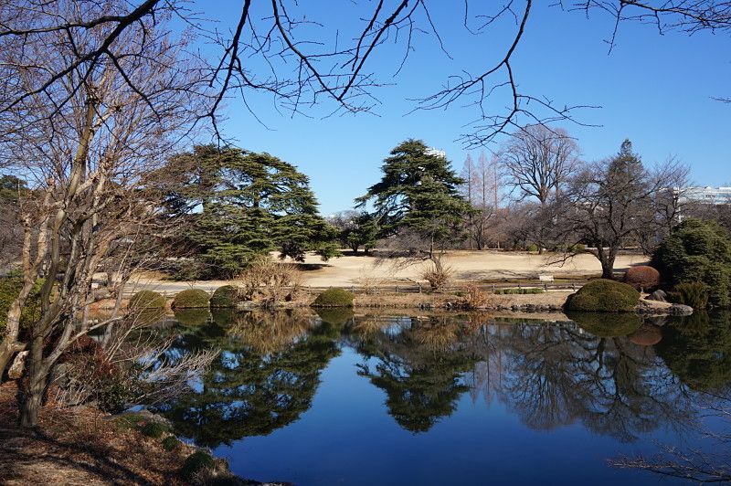 que visitar en tokio