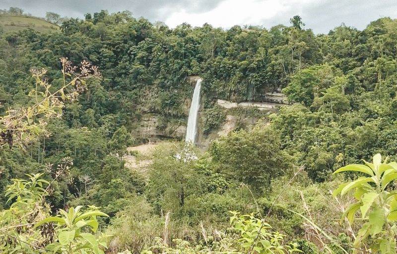 cascadas bohol