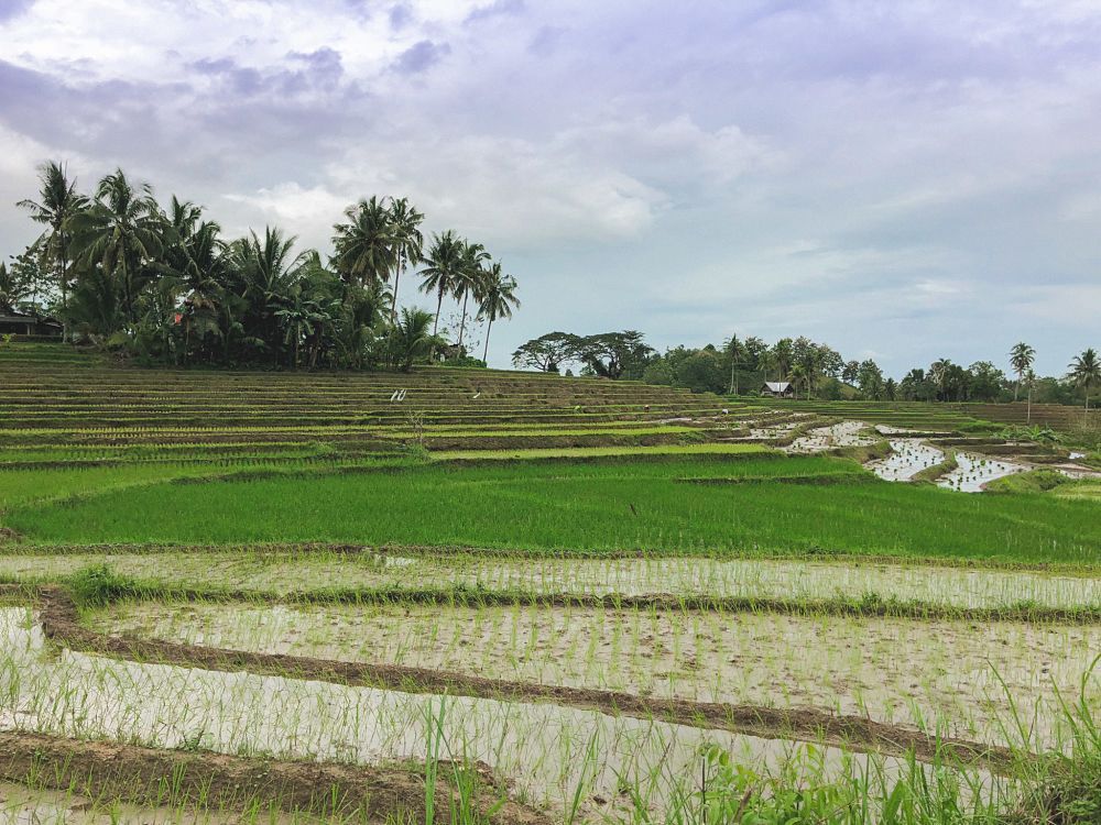 bohol cascadas