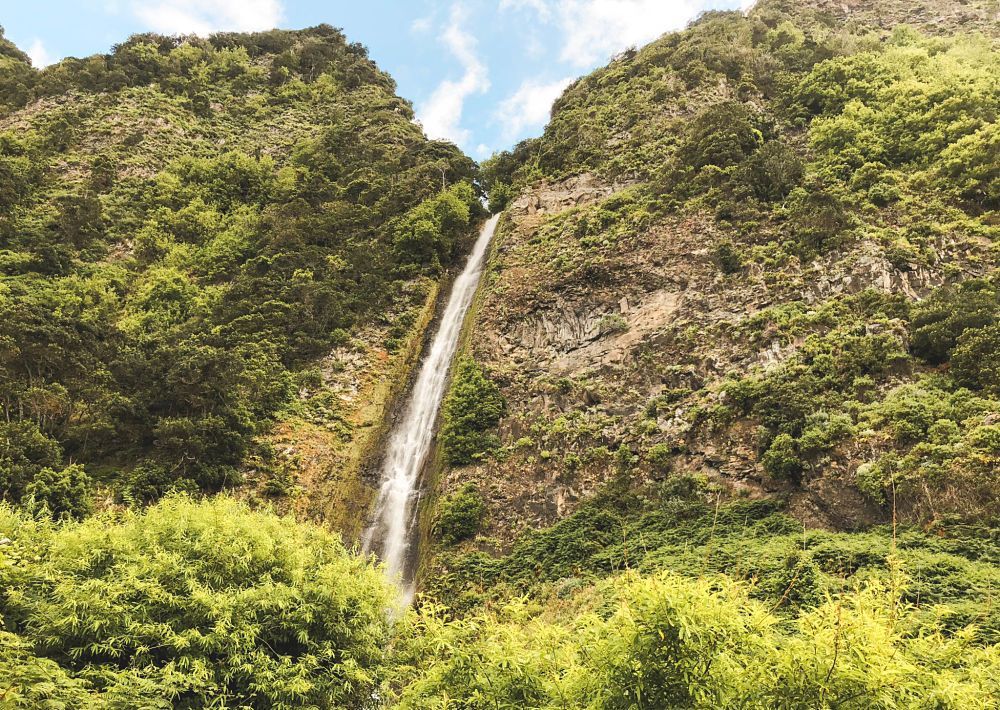 madeira que ver