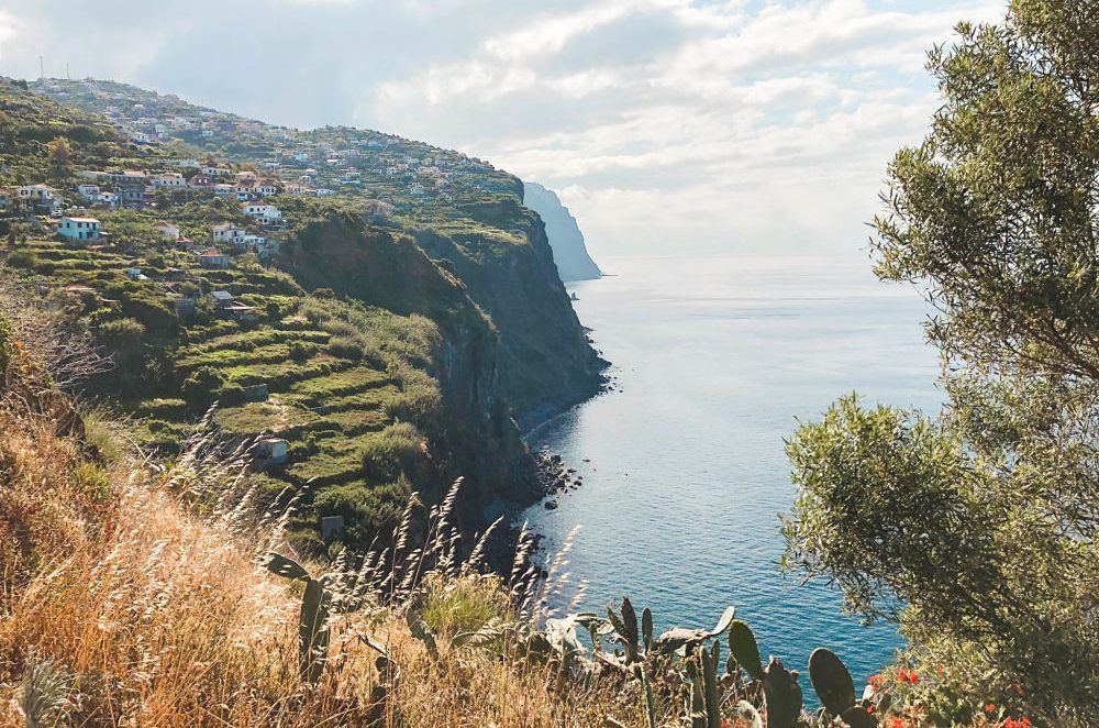 madeira que ver