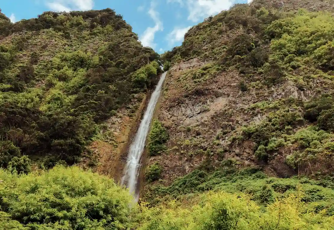 sao vicente madeira