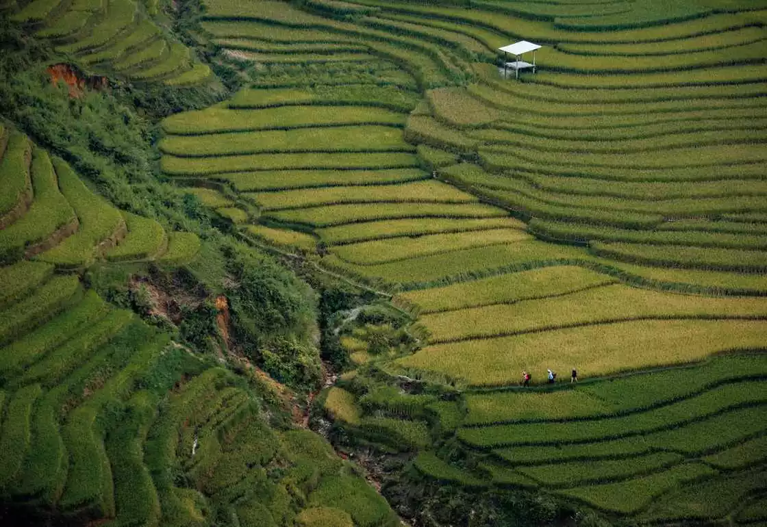 que ver en vietnam