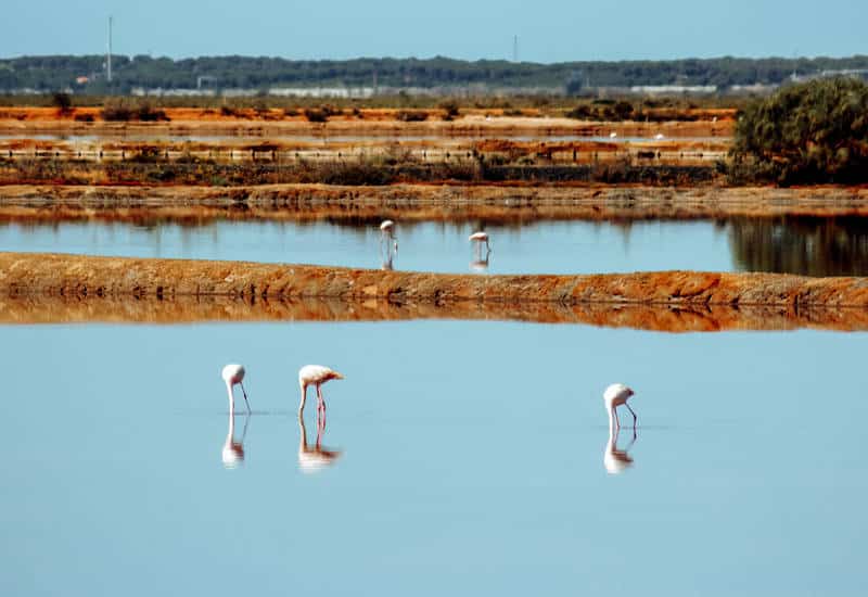 que ver en huelva y alrededores