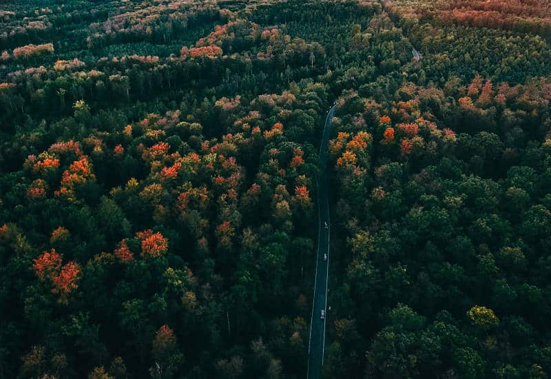 ruta selva negra