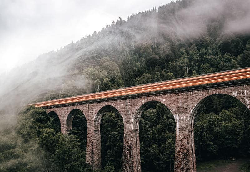 viaje a la selva negra
