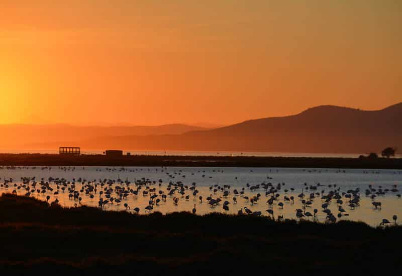 delta del ebro