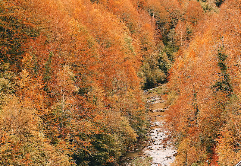 paisajes naturales de españa