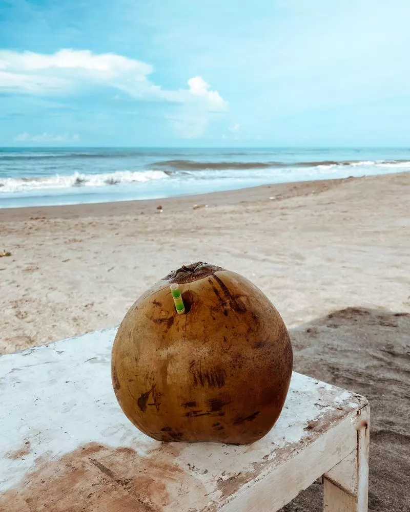 bali por libre