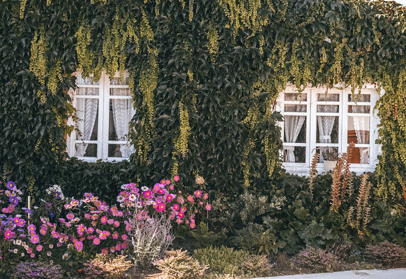 hoteles con encanto galicia
