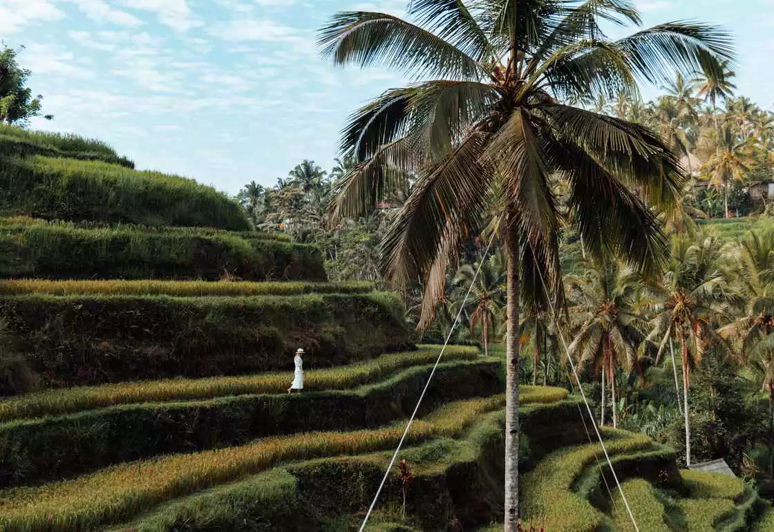 viajar a bali