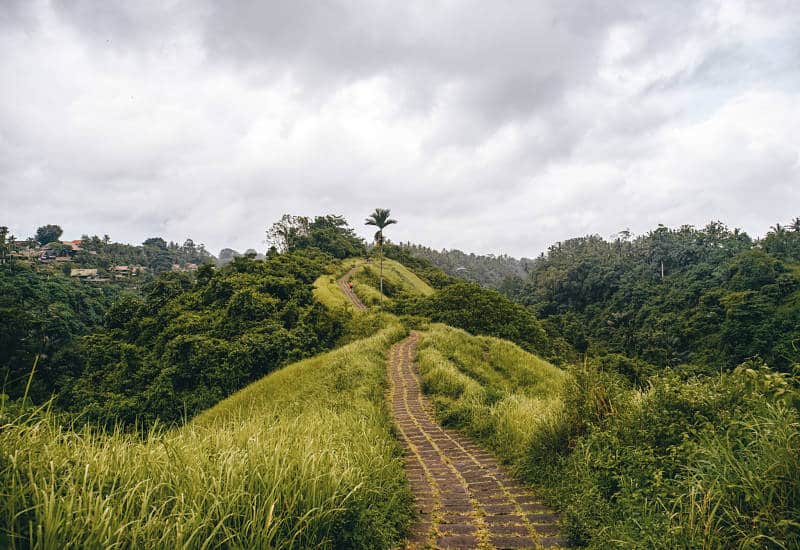 Campuhan Ridge Walk