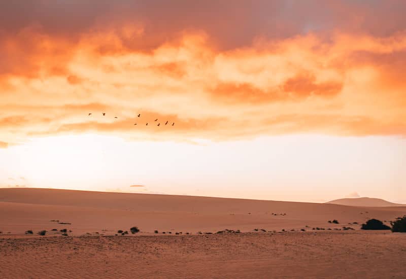 dunas de corralejo