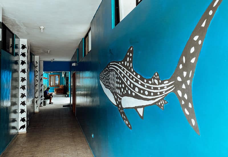 hoteles baratos galapagos
