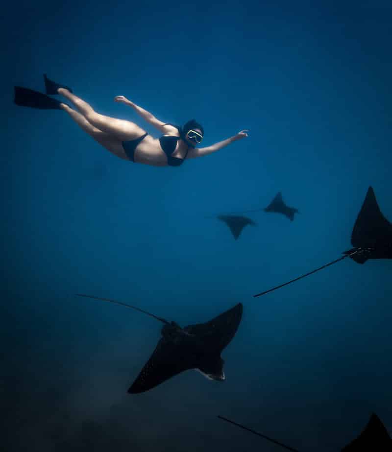 what to do in galapagos