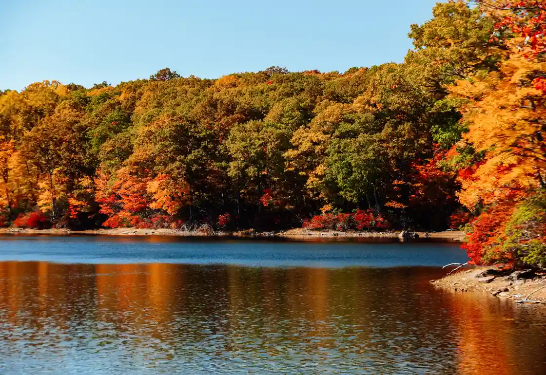 excursiones desde nueva york
