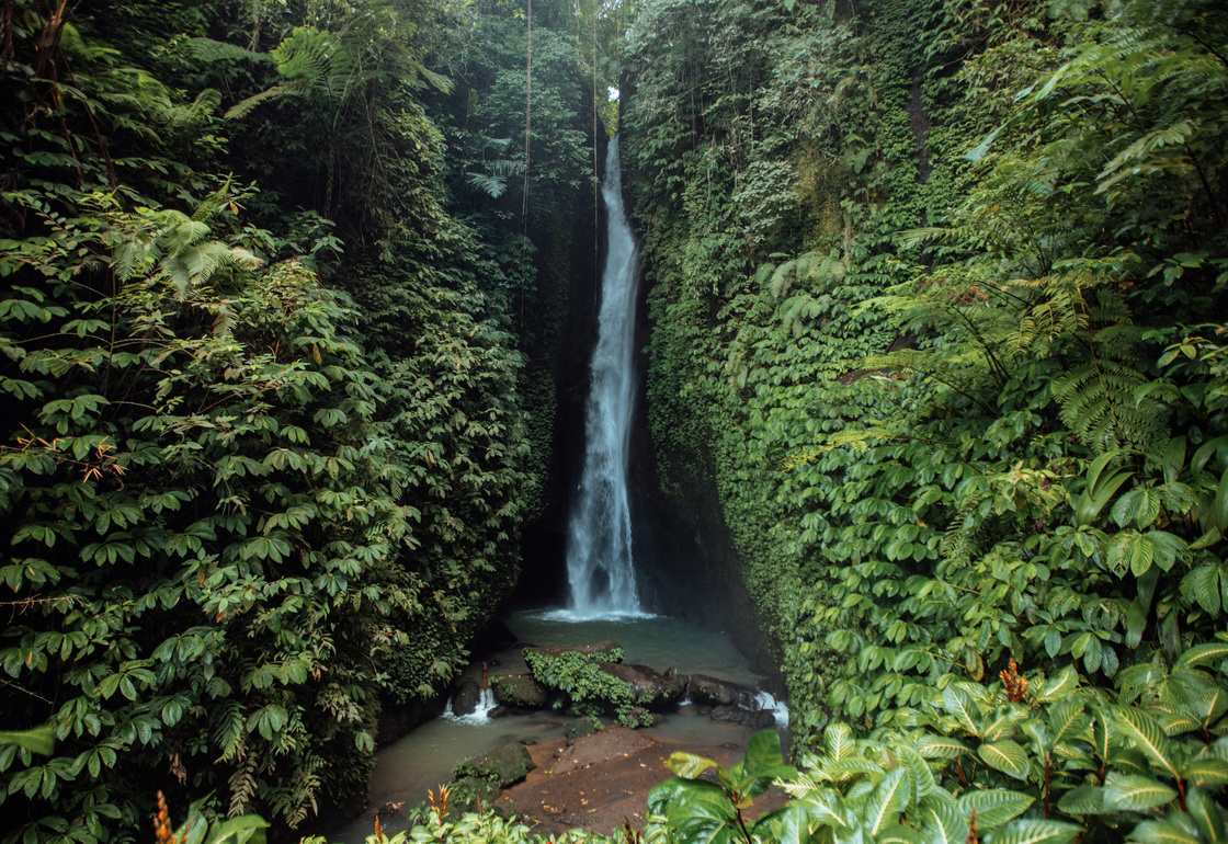 que ver en indonesia