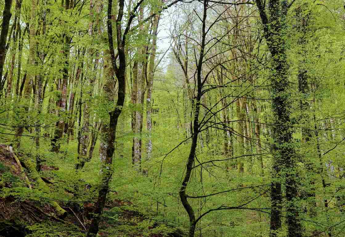 que visitar en navarra en 5 días