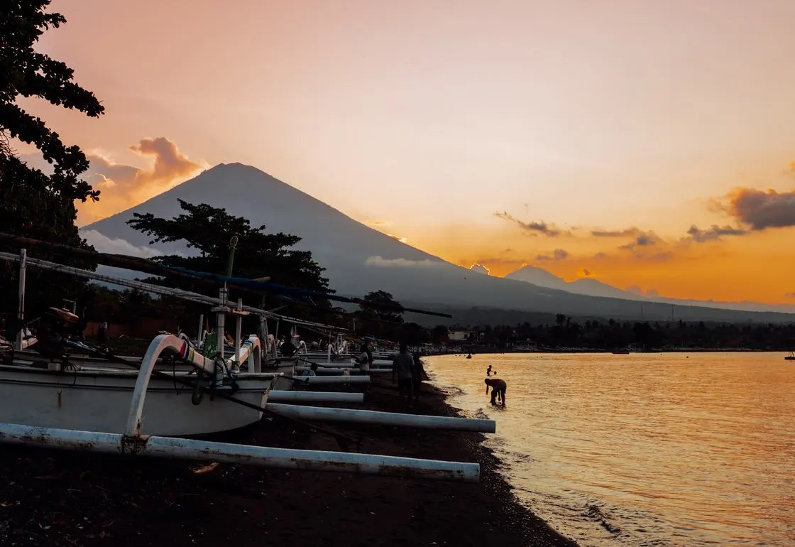 amed bali