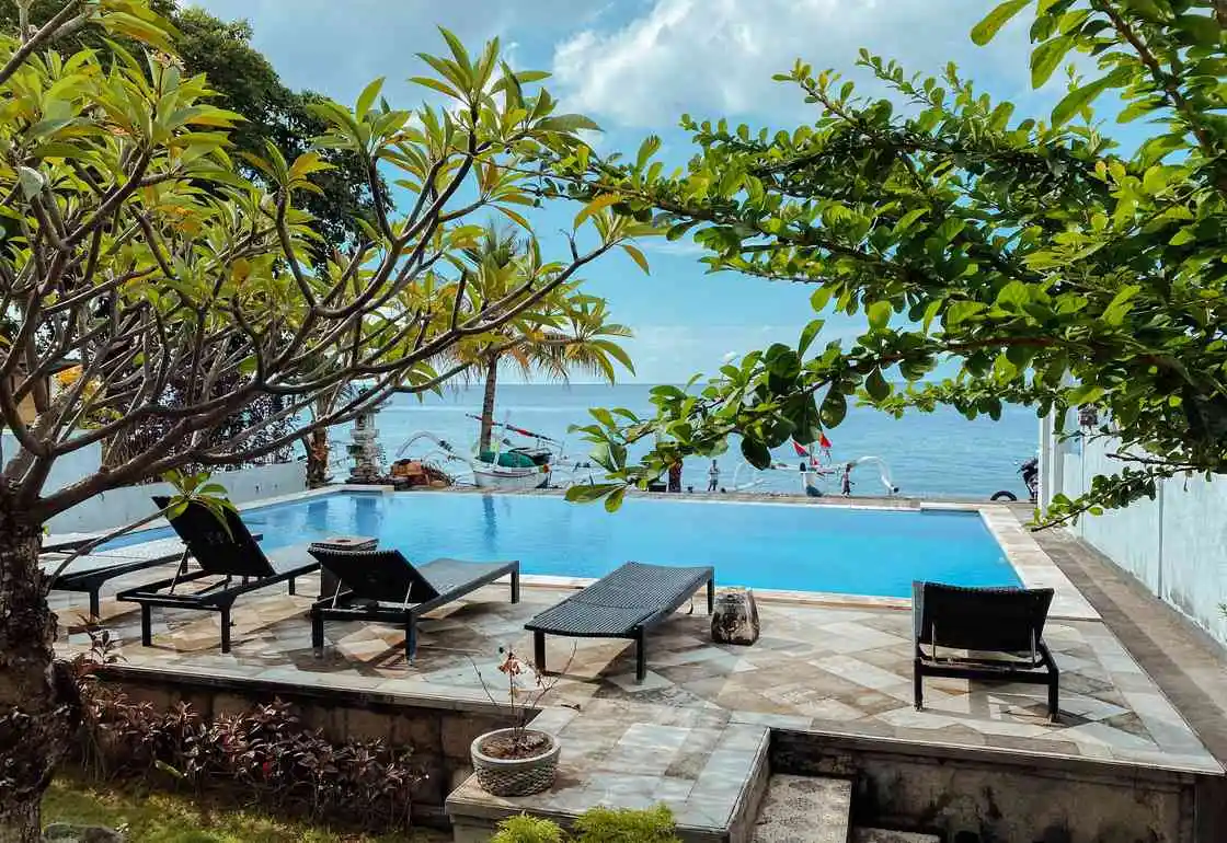 amed bali