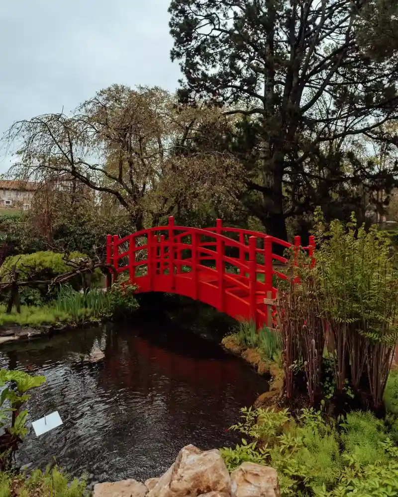 jardin botanico