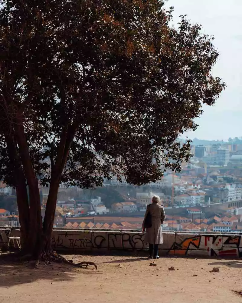 mirador de victoria oporto