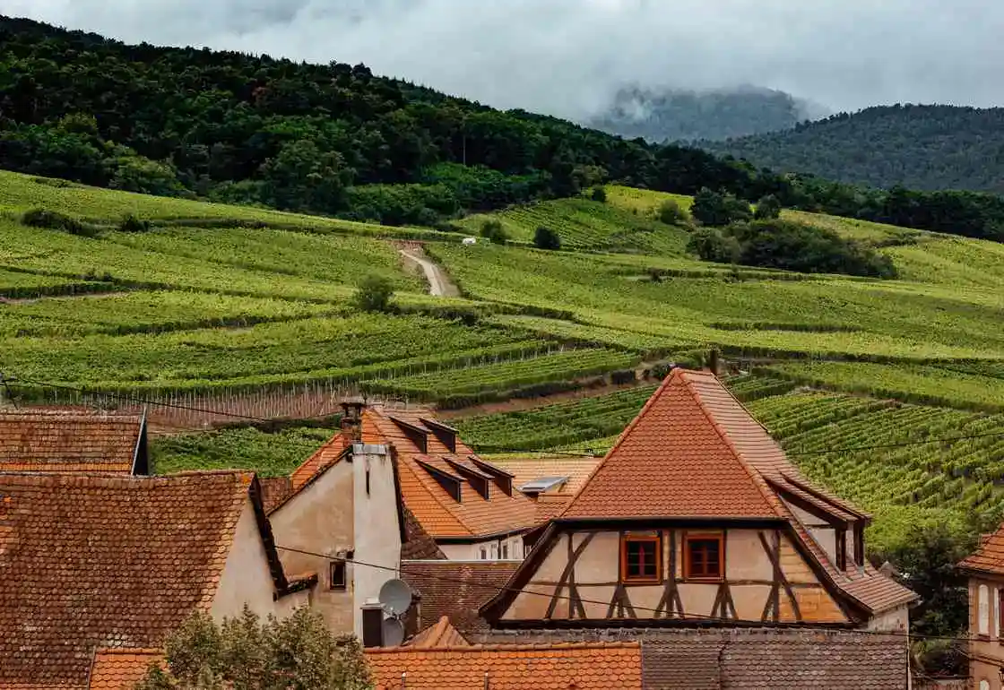 ruta vino colmar alsacia