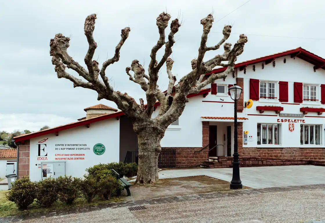 Centro de Interpretación del Pimiento de Espelette
