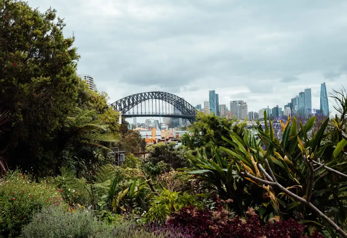 Wendy Whiteley's Secret Garden