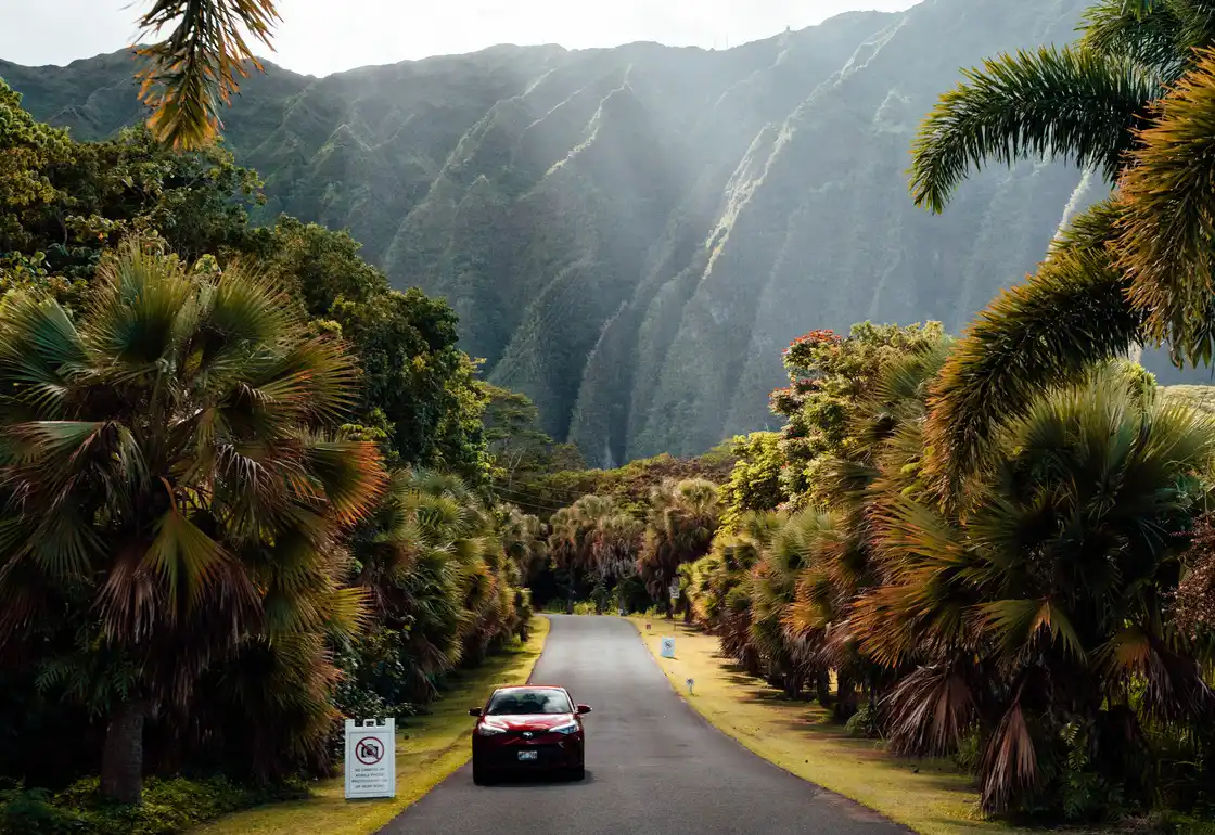 alquiler coche hawaii