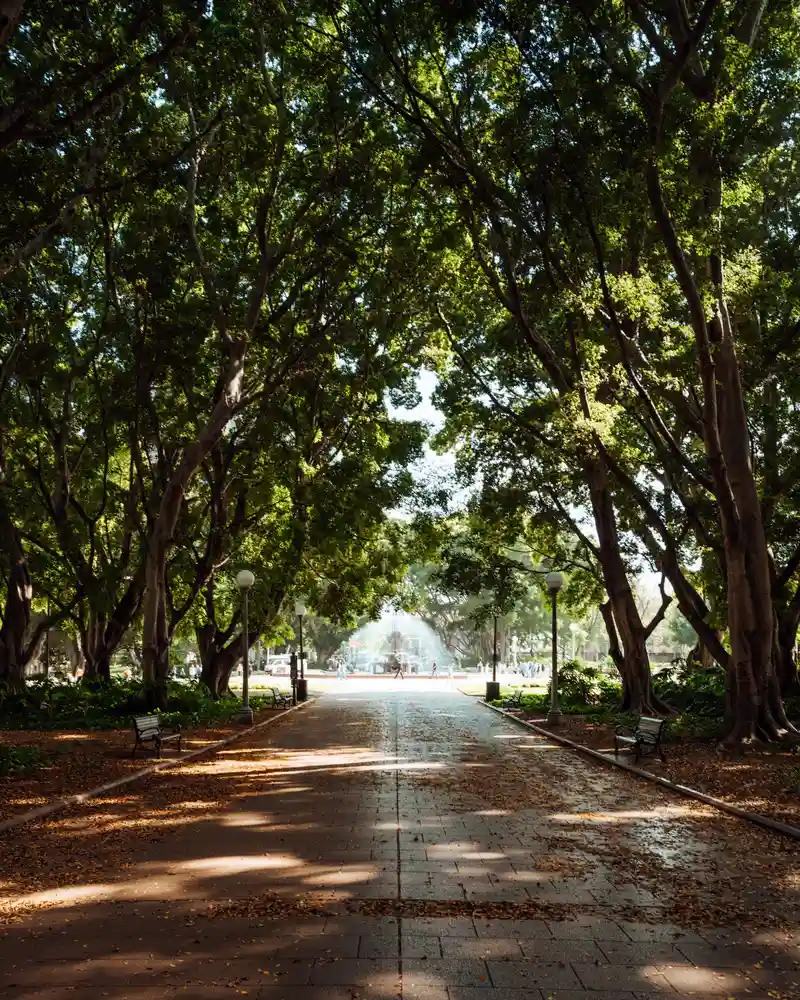 hyde park y anzac memorial