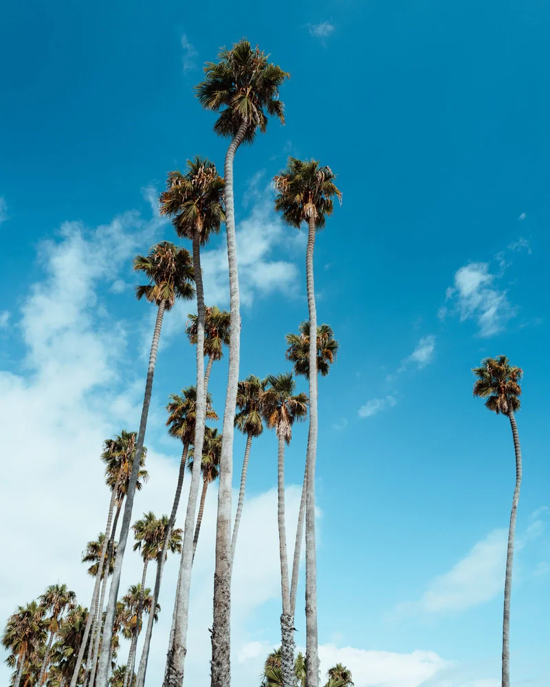 santa barbara