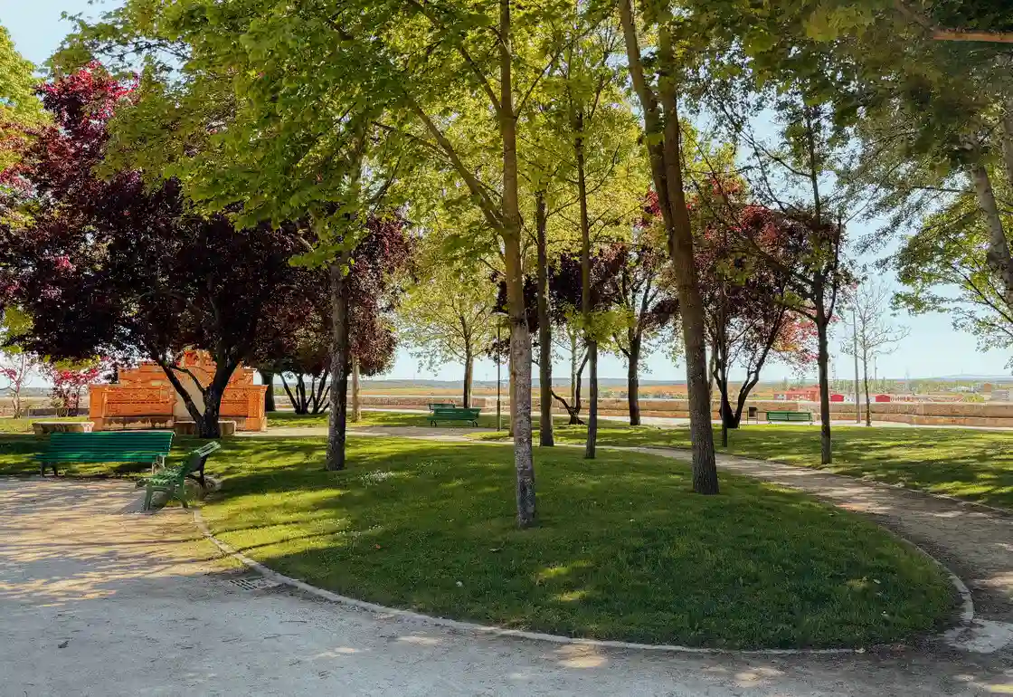jardin de la sinagoga