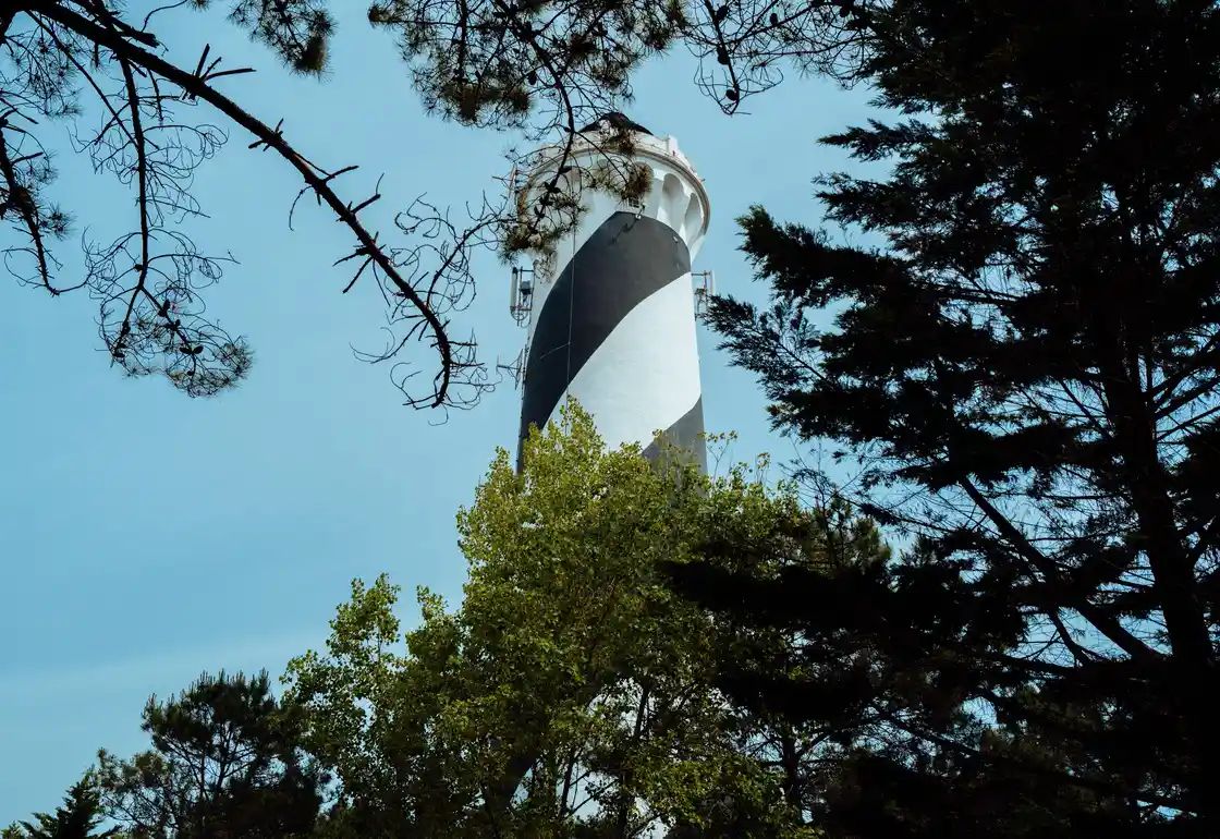 faro contis