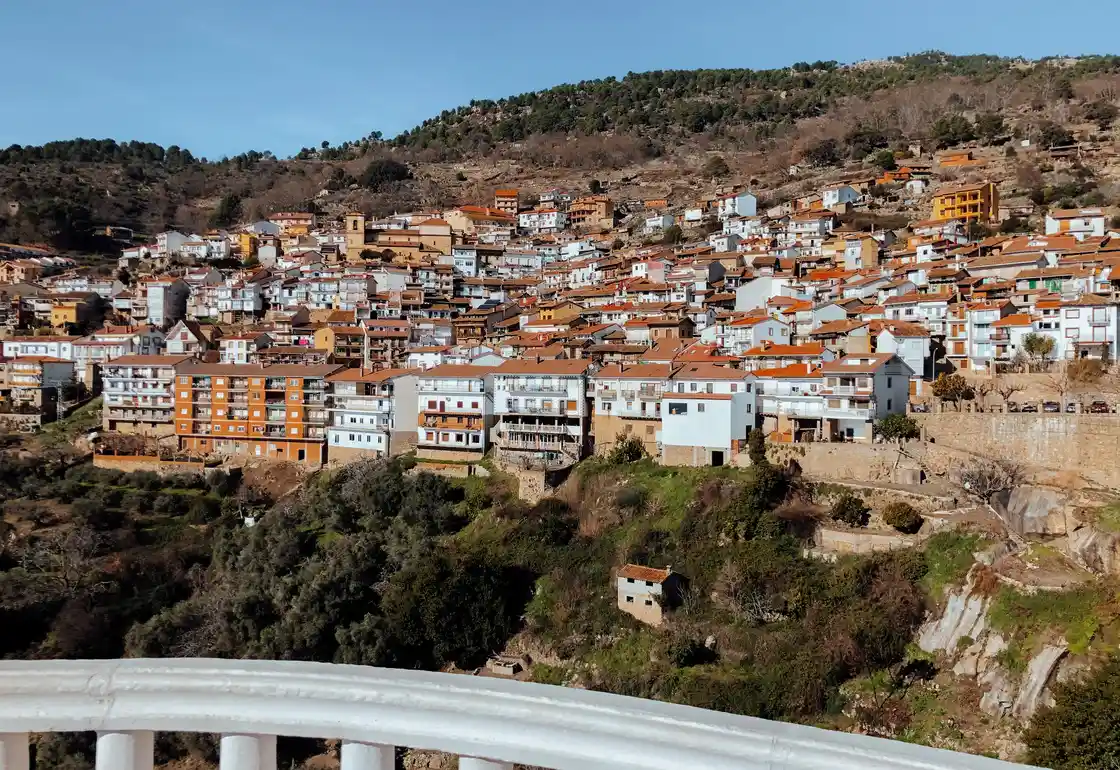pedro bernardo