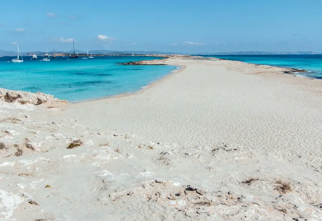 ses illetes